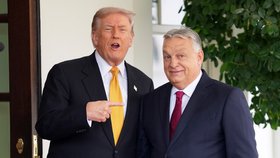 Maďarský premiér Viktor Orbán na návštěvě Trumpova Bílého domu (7.11.2025)