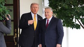 Maďarský premiér Viktor Orbán na návštěvě Trumpova Bílého domu (7.11.2025)