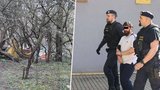 Otec zabité Viktorky (†3) se přiznal: Čin v nepříčetnosti plánoval dva dny?!