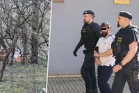 Zvrat v případu brutálně usmrcené Viktorky (3): Nešlo o vraždu!