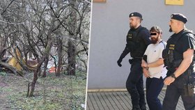 Usmrcení tříleté Viktorky otcem policie překvalifikovala z vraždy na opilství.