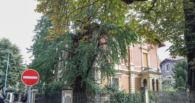 V této vile v Praze 6 Marie a Přemysl spolu dlouhodobě žili.