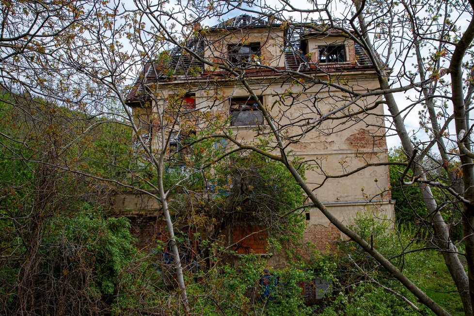 Před dvěma lety vilu Milada koupila Karlova univerzita. Objekt je stále v zuboženém stavu (3. května 2023)