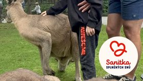 Nemocnému Vilíkovi (†8) se před smrtí splnil sen. Pohladil si milované klokánky.