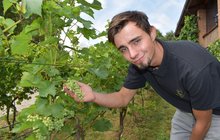 Mladý vinař Ondřej (22): Panenská úroda přinesla stříbro