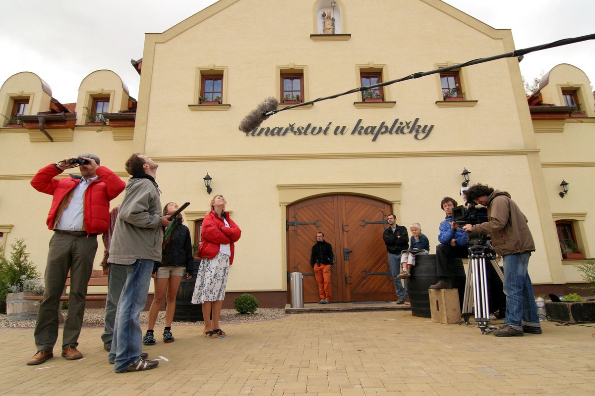 Vinařství Největší vinařství v kraji bylo ve filmu Vinařství u kapličky v Zaječí.