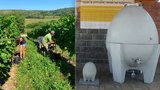 Překvapivá novinka: Vinaři nechávají zrát víno v betonu! Prý je lahodnější a mohutnější