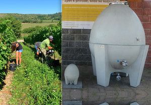 někteří vinaři na jižní Moravě nechávají dozrávat víno v betonových "vajíčkách". Jde o novinku, kterou si pochvalují, víno je prý mnohem lahodnější.