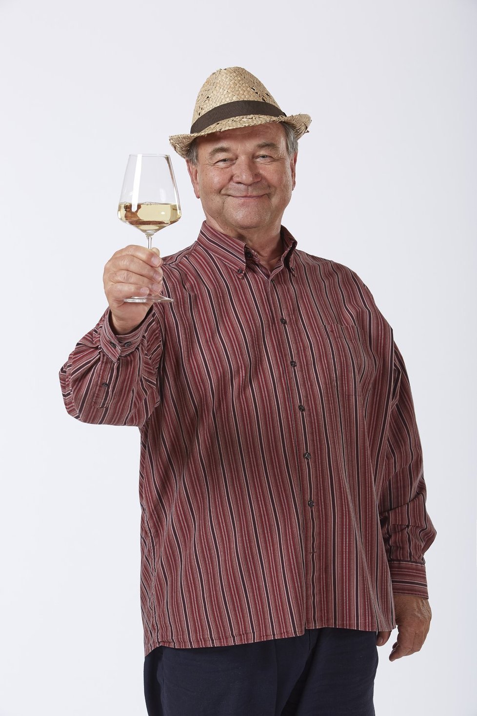 Václav Postránecký hraje  zasloužilého vinaře Bedřicha Pavlíčka, který dělá jednoznačně nejlepší víno v Křeticích.