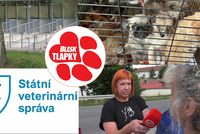 Obří množírna ve Vinařicích: Stovky psů jako hospodářská zvířata! Podle veterinářů v pořádku