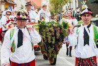 Zažít vinobraní ve velkém? Navštivte ta ve Znojmě, Mikulově či v Mělníku