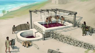 Skutečně archivní víno: Archeologové v Libanonu našli vinařství staré 2600 let