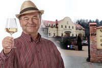 Nejhorší restaurace Česka: Flastr dostalo i seriálové vinařství! Jedli v něm herci z Vinařů?