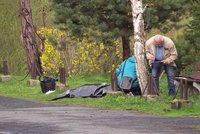 Policie našla na Mladoboleslavsku tělo seniorky: Leželo v řece Jizeře