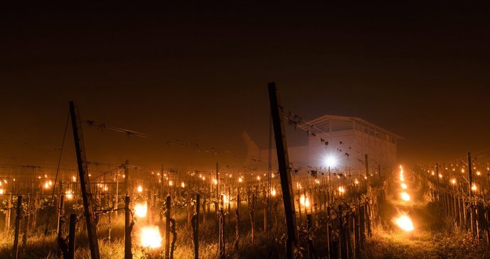 Vinaři ve Švýcarsku zahřívají vinice „antimrazovými“ svícemi.