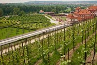 6 míst kam za vínem v Čechách aneb Když je to na Moravu daleko