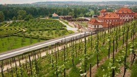 6 míst kam za vínem v Čechách aneb Když je to na Moravu daleko 