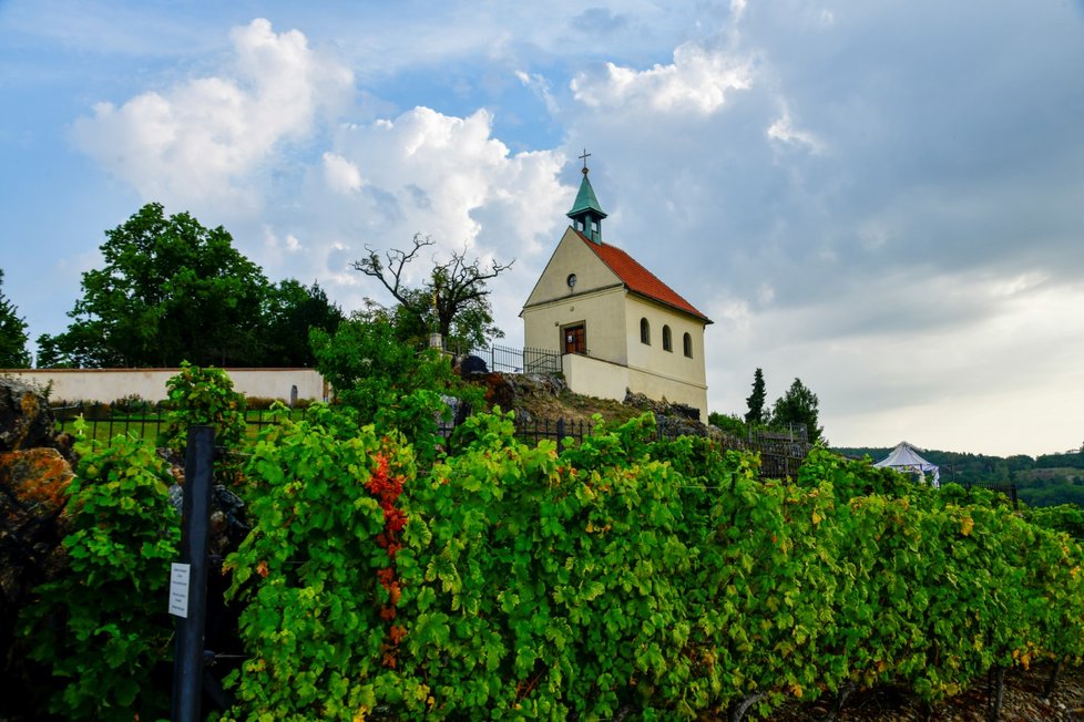 Kaple sv. Kláry na vinici v Botanické zahradě hl. města Prahy.