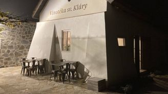 Světový unikát. Botanická zahrada v Praze vyrábí jako jediná vlastní víno Světový unikát. Botanická zahrada v Praze vyrábí jako jediná vlastní víno