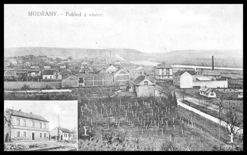 Modřanská vinice roku 1952.