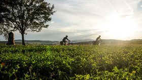 Jižní Morava vinařská a cyklistická