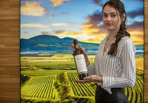 Šampionem Valtických vinných trhů mezi bílými víny je letos Veltlínské zelené 2019, výběr z hroznů z vinařství Mikrosvín Mikulov.