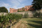Jednou ze surovin elixíru mládí je nejslavnější italské víno Chianti