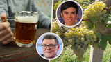Dražší točené pivo i tiché víno? „Koalice by to s lidovci musela vyobchodovat,“ míní expert