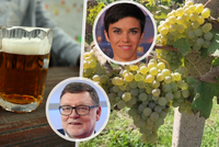 Dražší točené pivo i tiché víno? „Koalice by to s lidovci musela vyobchodovat,“ míní expert