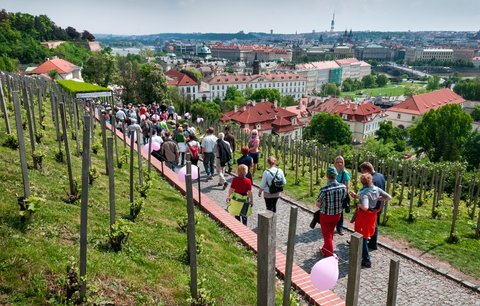 Svátek růžových vín a „bublinek“ startuje již tento pátek