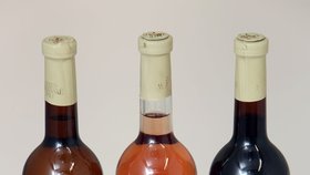 Svatomartinská vína mají speciální etiketu i logo - letos v podobě stylizovaného svatého Martina na koni