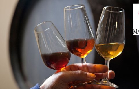 Svatomartinské je tu: Vinaři připravují dva miliony lahví!
