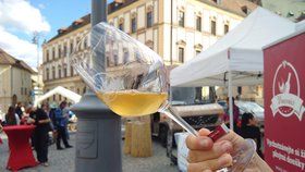 Na Vinohradech se chystá akce „jak víno“: V pátek a sobotu proběhne tradiční vinobraní