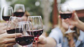 Vinobraní na Andělu: K ochutnání budou moky z Čech, Moravy i exkluzivních zahraničních vinic