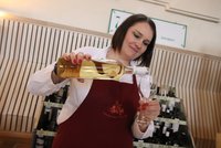 Vinařský „Wimbledon“ ve Valticích začal: K ochutnání je 770 vín