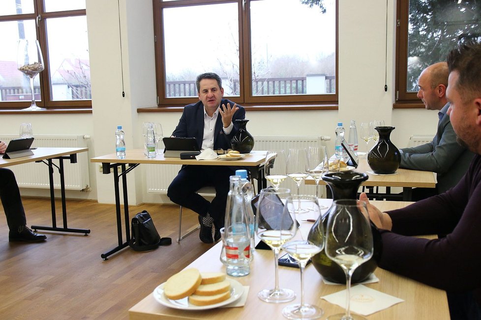 Komise složená z nejlepších tuzemských degustátorů určila nejlepší vína pro rok 2021.