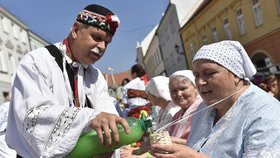 Pálavské vinobraní v Mikulově začíná v pátek a potrvá do neděle. Ilustrační foto