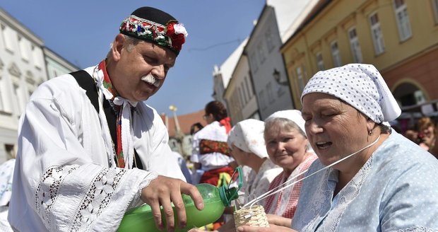 Pálavské vinobraní v Mikulově začíná v pátek a potrvá do neděle. Ilustrační foto