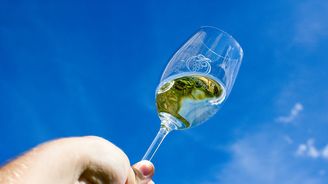 Znovín Znojmo mění majitele, nově patří do holdingu vedle Lahoferu nebo Waldbergu Znovín Znojmo mění majitele, nově patří do holdingu vedle Lahoferu nebo Waldbergu