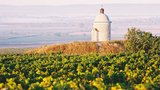 Poznejte tajemství Habánských sklepů 