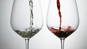 Vinaři vybrali ta nejlepší vína z nejlepších.