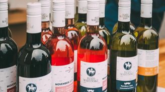 Spor o tiché víno pokračuje, Stanjura trvá na spotřební dani. Rozhodnou lídři vládních stran