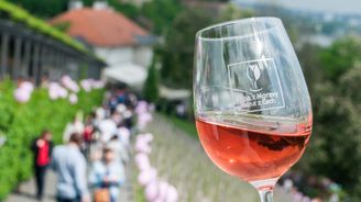 Svátek růžových vín… a bublinek promění 1. května vinice pod Pražským hradem v místo romantiky Svátek růžových vín… a bublinek promění 1. května vinice pod Pražským hradem v místo romantiky