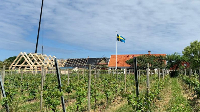 Švédská vinice