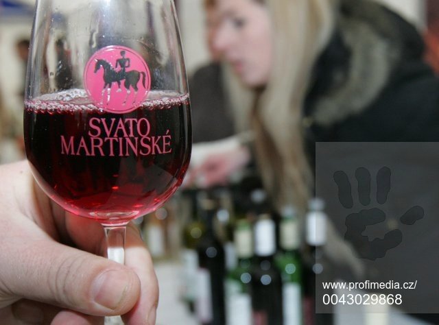 11.11. v 11 hodin 11 minut můžete tuto sobotu na mnoha místech ochutnat letošní svatomartinské víno.