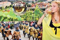 Velký přehled vinobraní 2018: Kam letos vyrazit v Česku za lahodným mokem?