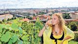 Na Hradě se bude konat vinobraní. Produkční zahrady zůstanou nakonec zavřené