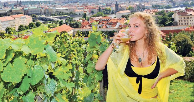 Na Pražském hradě se uskuteční další ročník vinobraní.