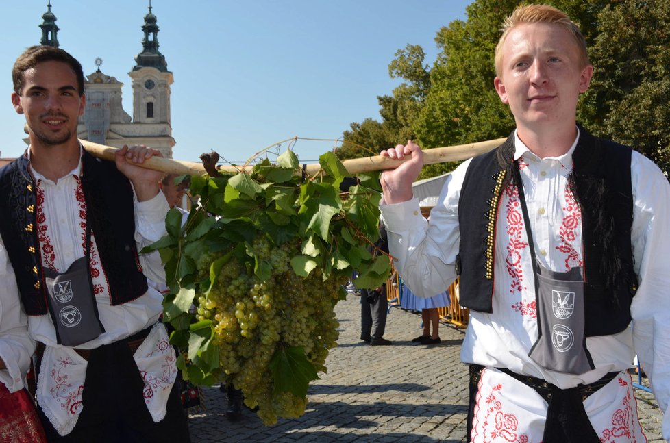 Krojovaní z Polešovic nesli symbolický hrozen