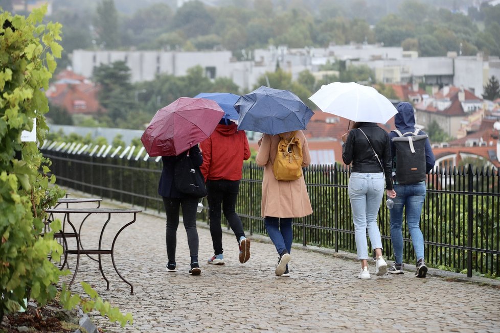 Tradiční vinobraní při vinici Sv. Kláry, která patří pod Botanickou zahradu hl. m. v Praze - Troji. (17. září 2022)